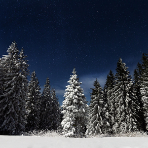 男朋友脱我内裤揉我下面视频
