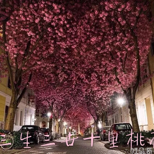 男朋友脱我内裤揉我下面视频
