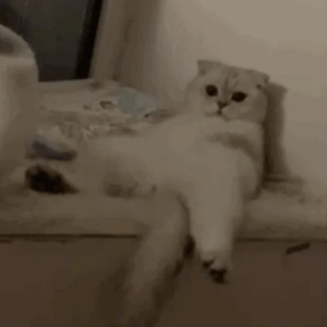 男朋友脱我内裤揉我下面视频
