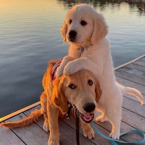 男朋友脱我内裤揉我下面视频
